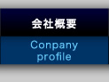 ЊTvFCompany profile